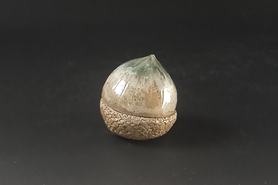 種子香合　コナラ