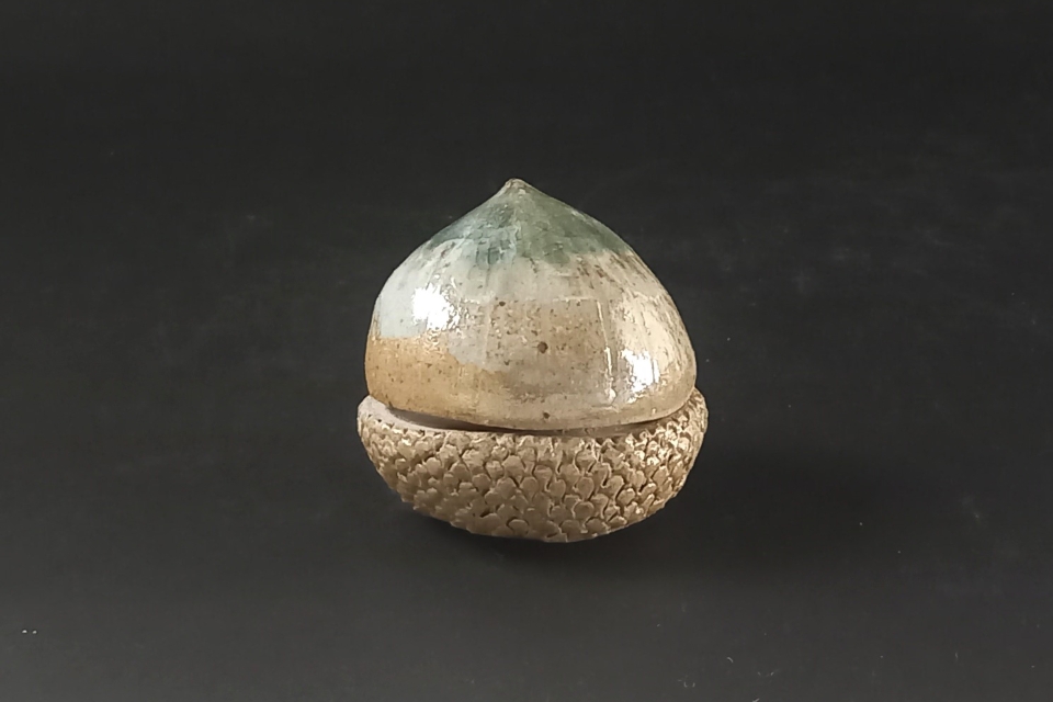 種子香合　コナラ