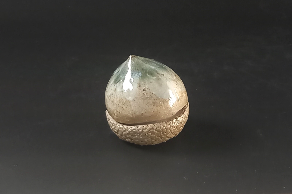 種子香合　コナラ