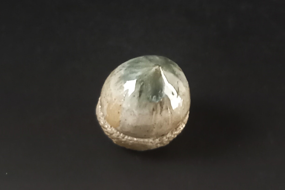 種子香合　コナラ