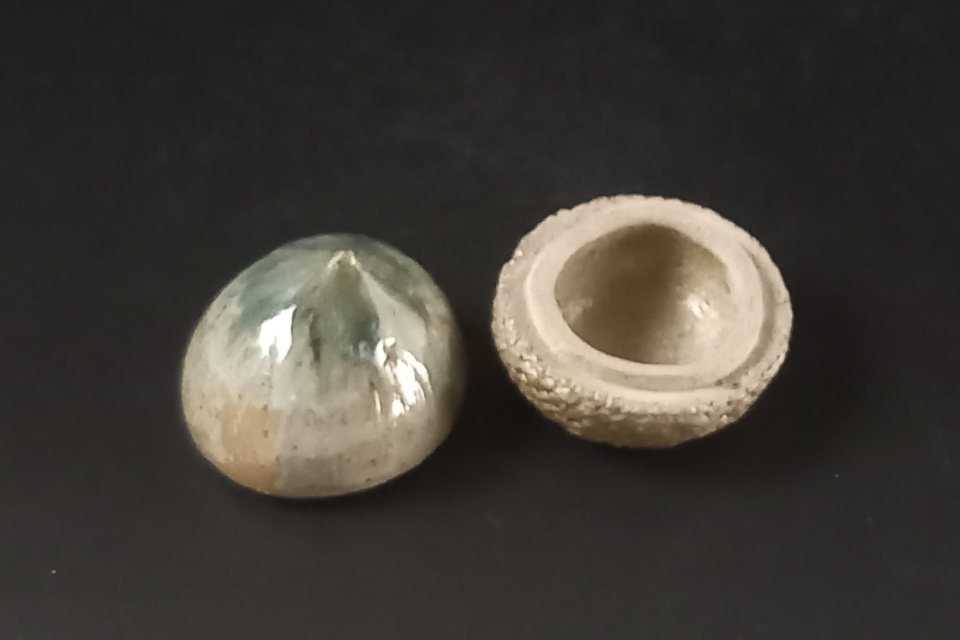 種子香合　コナラ